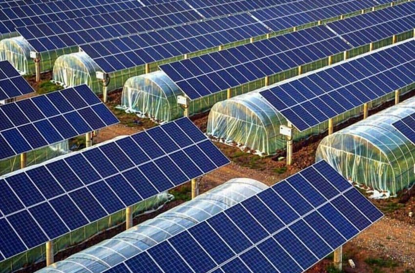 Sisteme fotovoltaice pentru agricultură